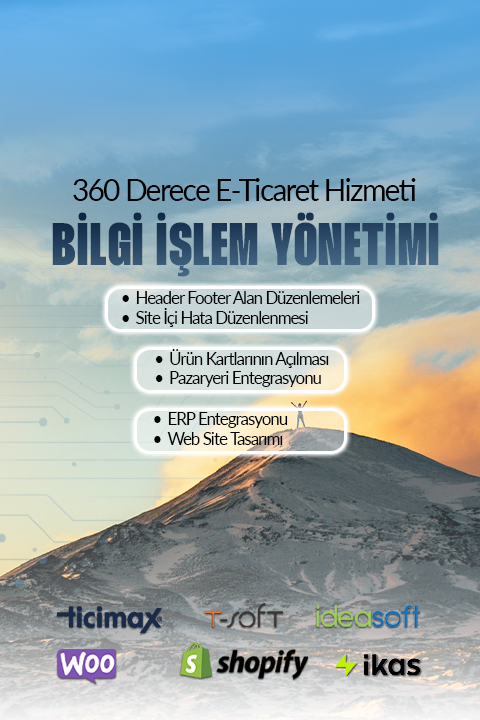 E-Ticaret bilgi işlem yönetimi